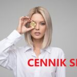 Klienci mają "gdzieś" SEO… i mają rację cennik seo